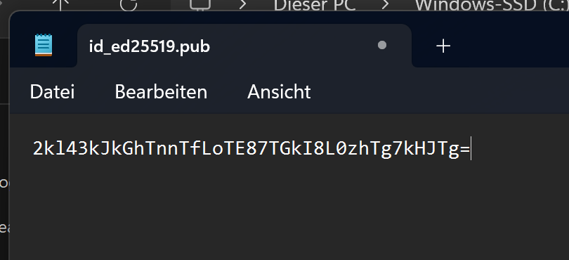 Der public key des RustDesk Servers muss im Client hinterlegt werden.